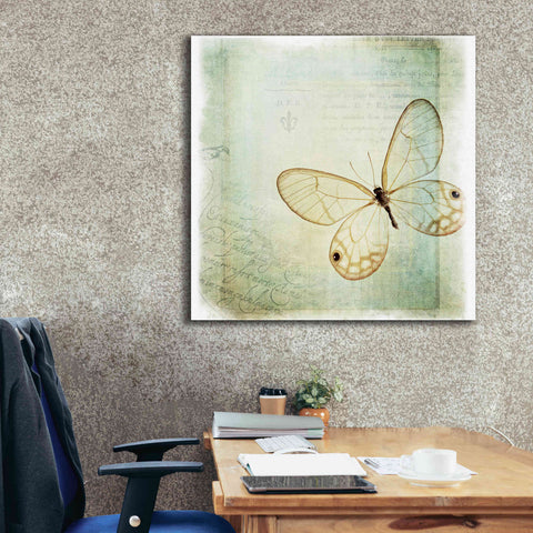 Image of 'Floating Butterfly I' by Debra Van Swearingen, Canvas Wall Art,37 x 37