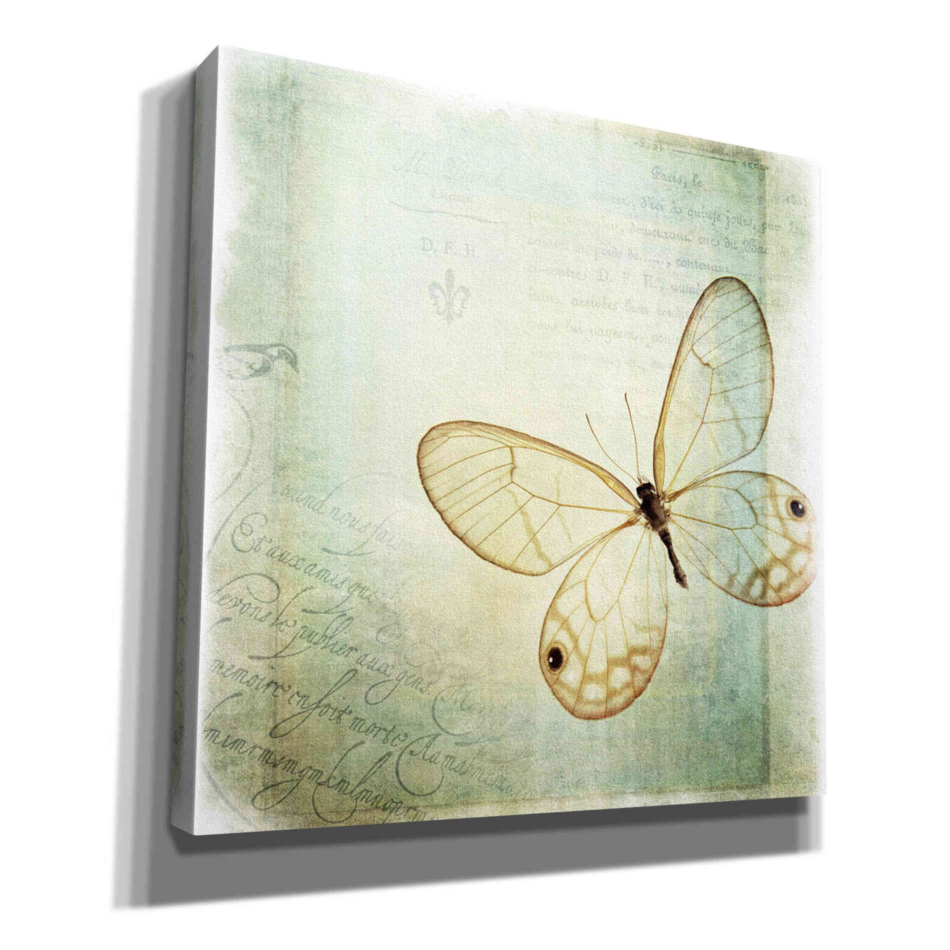 'Floating Butterfly I' by Debra Van Swearingen, Canvas Wall Art,12x12x1.1x0,18x18x1.1x0,26x26x1.74x0,37x37x1.74x0