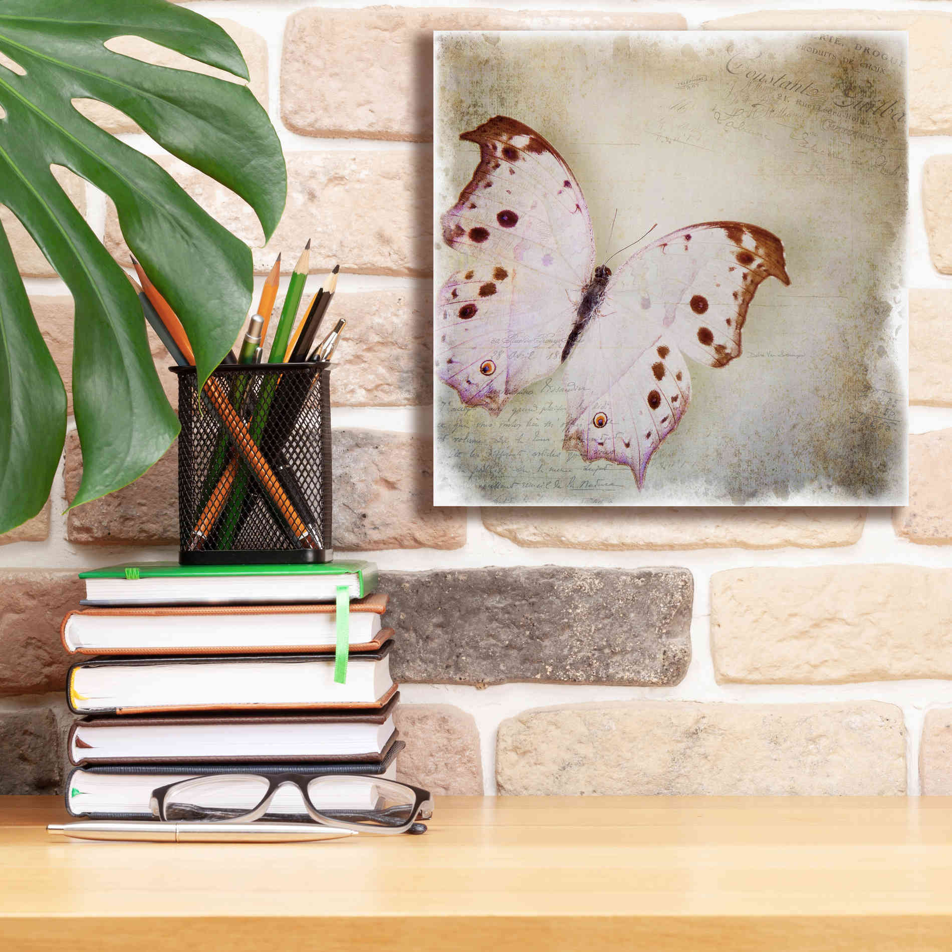 'Floating Butterfly II' by Debra Van Swearingen, Canvas Wall Art,12 x 12
