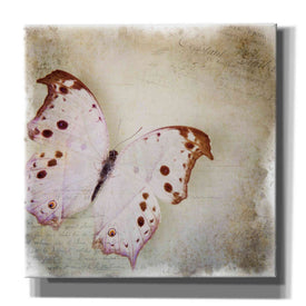 'Floating Butterfly II' by Debra Van Swearingen, Canvas Wall Art,12x12x1.1x0,18x18x1.1x0,26x26x1.74x0,37x37x1.74x0
