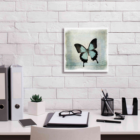 Image of 'Floating Butterfly III' by Debra Van Swearingen, Canvas Wall Art,12 x 12