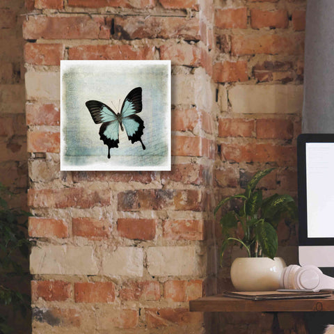 Image of 'Floating Butterfly III' by Debra Van Swearingen, Canvas Wall Art,12 x 12