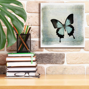 'Floating Butterfly III' by Debra Van Swearingen, Canvas Wall Art,12 x 12