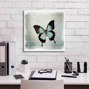 'Floating Butterfly III' by Debra Van Swearingen, Canvas Wall Art,18 x 18