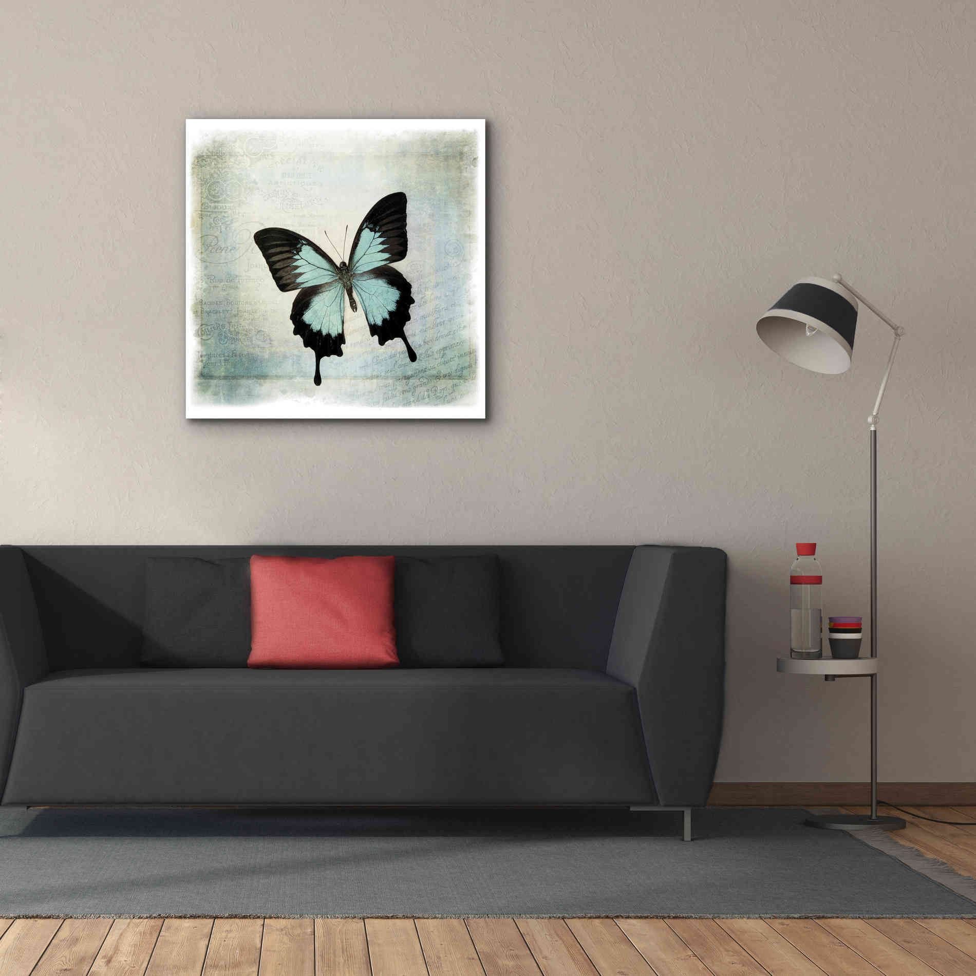 'Floating Butterfly III' by Debra Van Swearingen, Canvas Wall Art,37 x 37