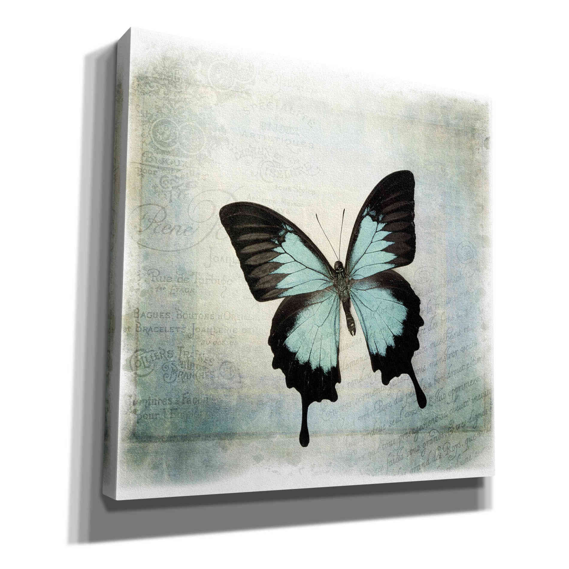 'Floating Butterfly III' by Debra Van Swearingen, Canvas Wall Art,12x12x1.1x0,18x18x1.1x0,26x26x1.74x0,37x37x1.74x0