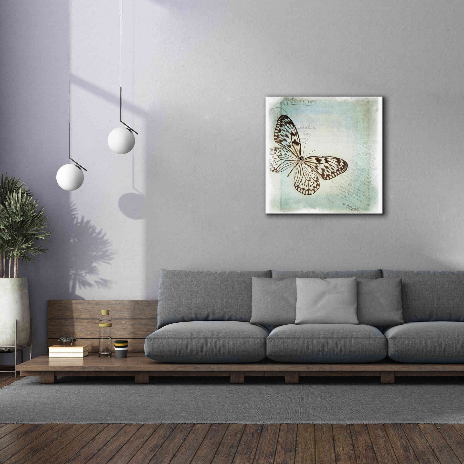 'Floating Butterfly IV' by Debra Van Swearingen, Canvas Wall Art,37 x 37