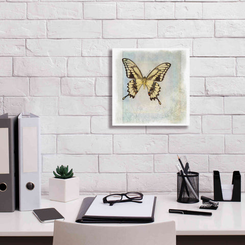 Image of 'Floating Butterfly V' by Debra Van Swearingen, Canvas Wall Art,12 x 12