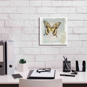 'Floating Butterfly V' by Debra Van Swearingen, Canvas Wall Art,12 x 12