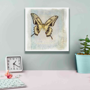 'Floating Butterfly V' by Debra Van Swearingen, Canvas Wall Art,12 x 12