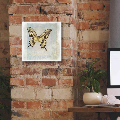 Image of 'Floating Butterfly V' by Debra Van Swearingen, Canvas Wall Art,12 x 12