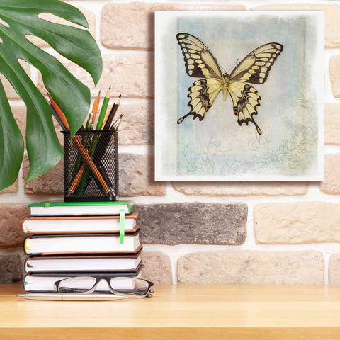 Image of 'Floating Butterfly V' by Debra Van Swearingen, Canvas Wall Art,12 x 12