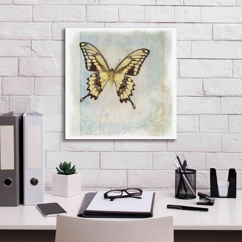 Image of 'Floating Butterfly V' by Debra Van Swearingen, Canvas Wall Art,18 x 18