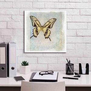 'Floating Butterfly V' by Debra Van Swearingen, Canvas Wall Art,18 x 18