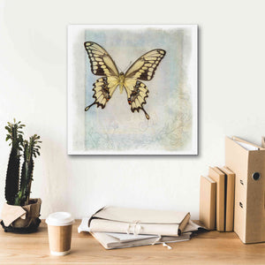 'Floating Butterfly V' by Debra Van Swearingen, Canvas Wall Art,18 x 18