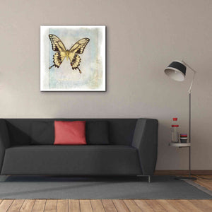 'Floating Butterfly V' by Debra Van Swearingen, Canvas Wall Art,37 x 37