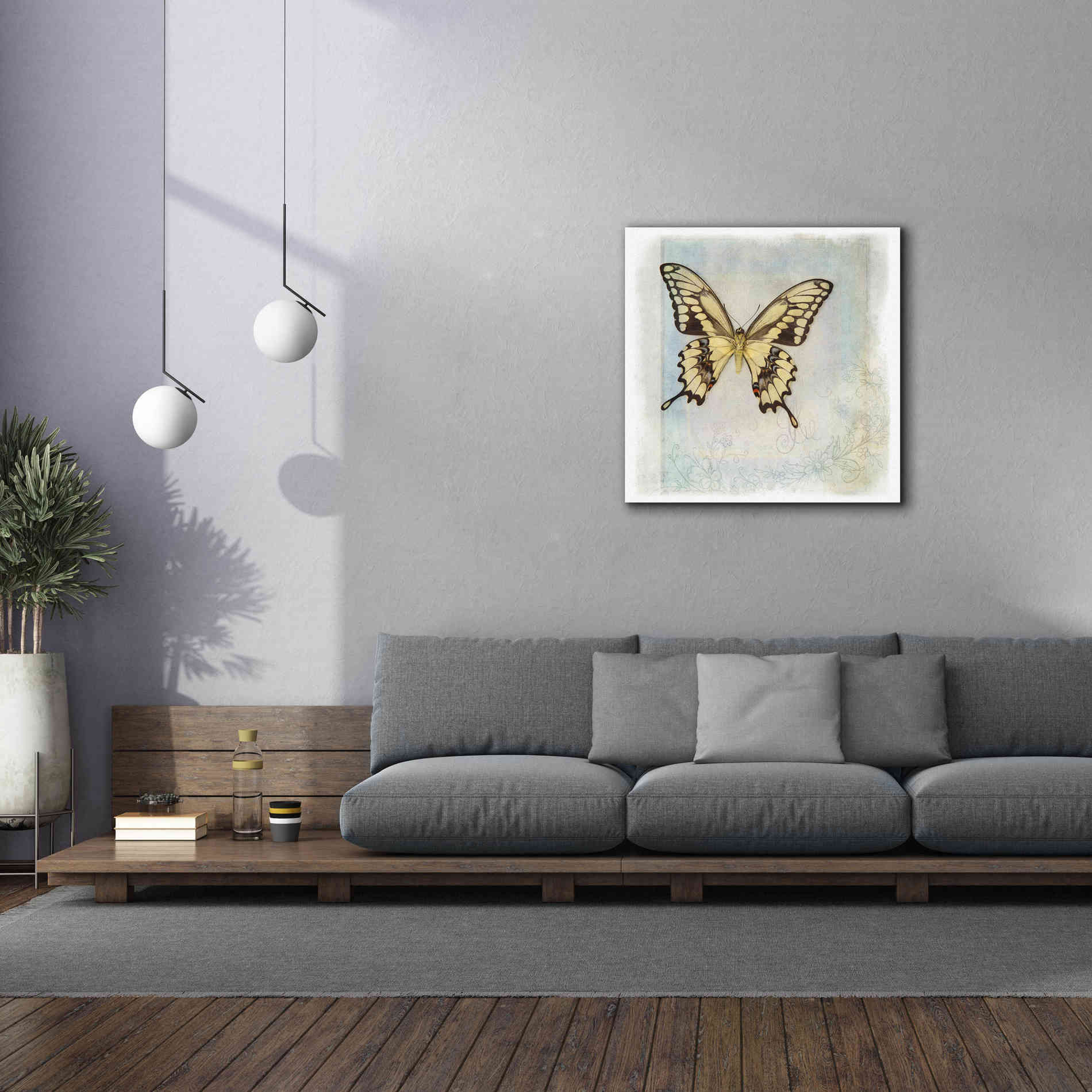 'Floating Butterfly V' by Debra Van Swearingen, Canvas Wall Art,37 x 37