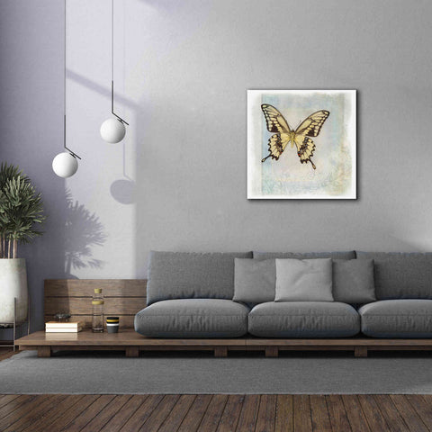 Image of 'Floating Butterfly V' by Debra Van Swearingen, Canvas Wall Art,37 x 37