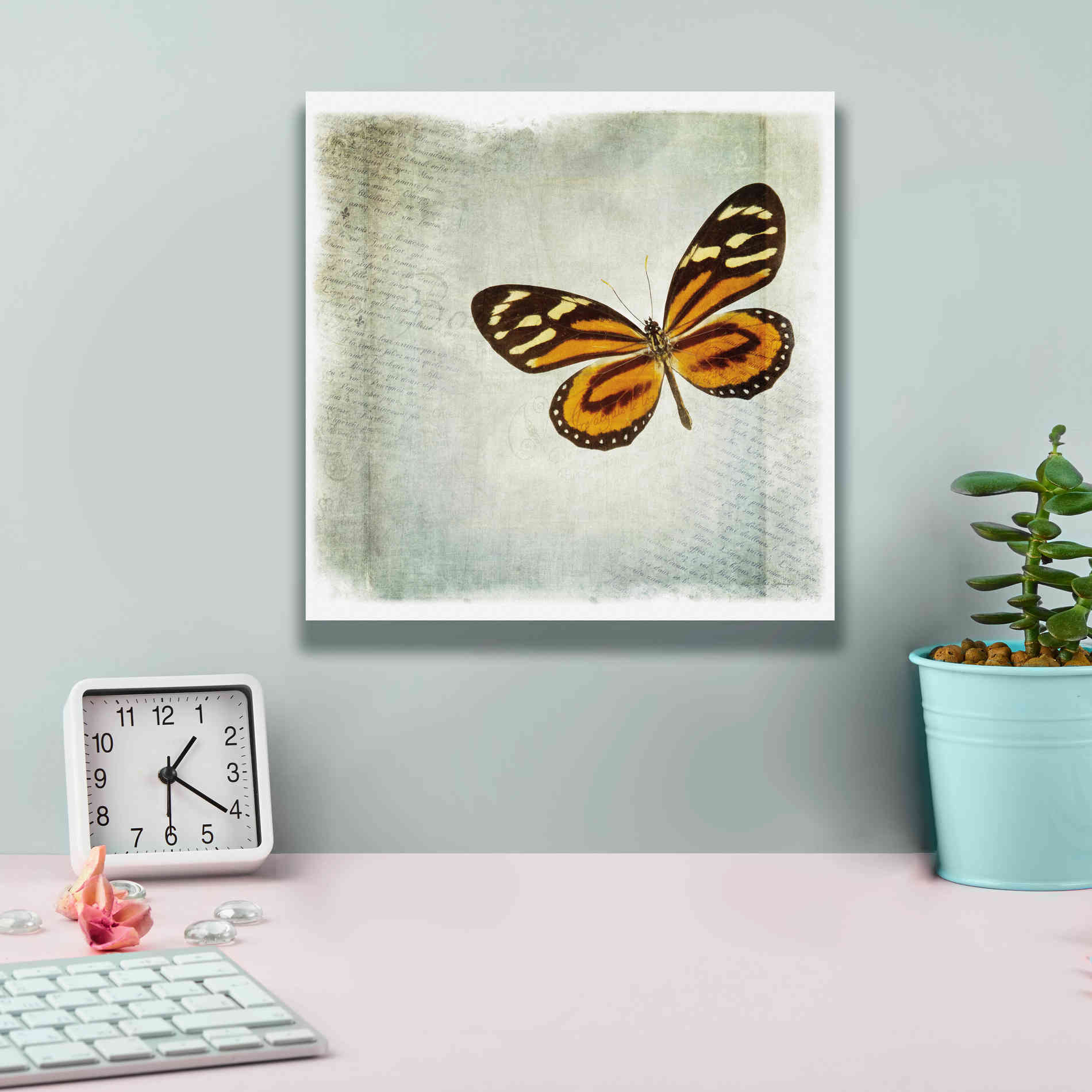 'Floating Butterfly VI' by Debra Van Swearingen, Canvas Wall Art,12 x 12