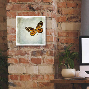 'Floating Butterfly VI' by Debra Van Swearingen, Canvas Wall Art,12 x 12