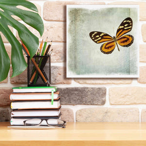 'Floating Butterfly VI' by Debra Van Swearingen, Canvas Wall Art,12 x 12