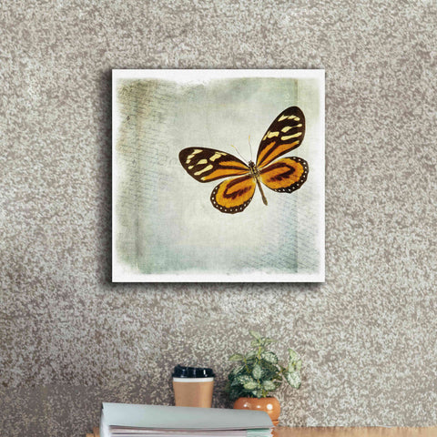 Image of 'Floating Butterfly VI' by Debra Van Swearingen, Canvas Wall Art,18 x 18