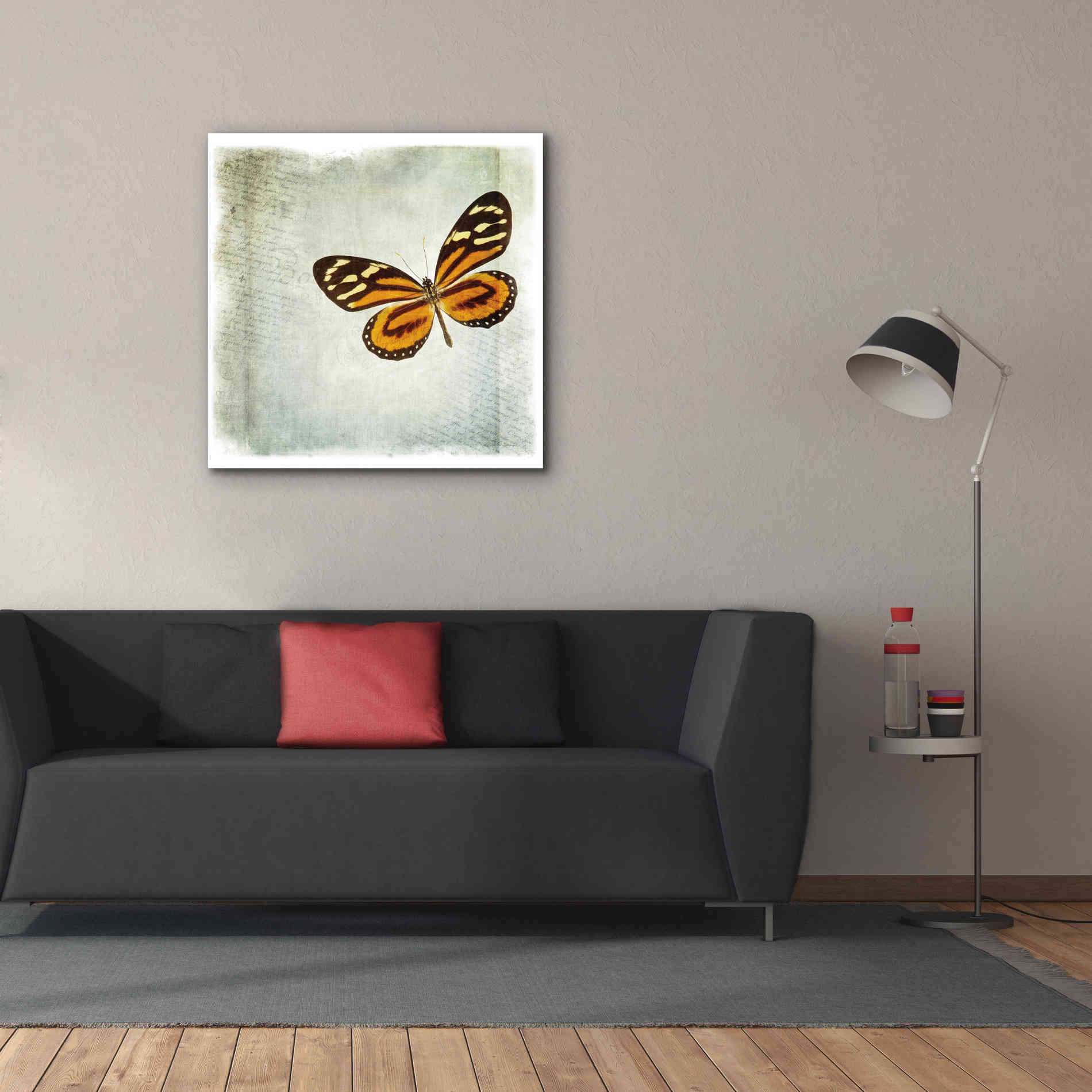 'Floating Butterfly VI' by Debra Van Swearingen, Canvas Wall Art,37 x 37