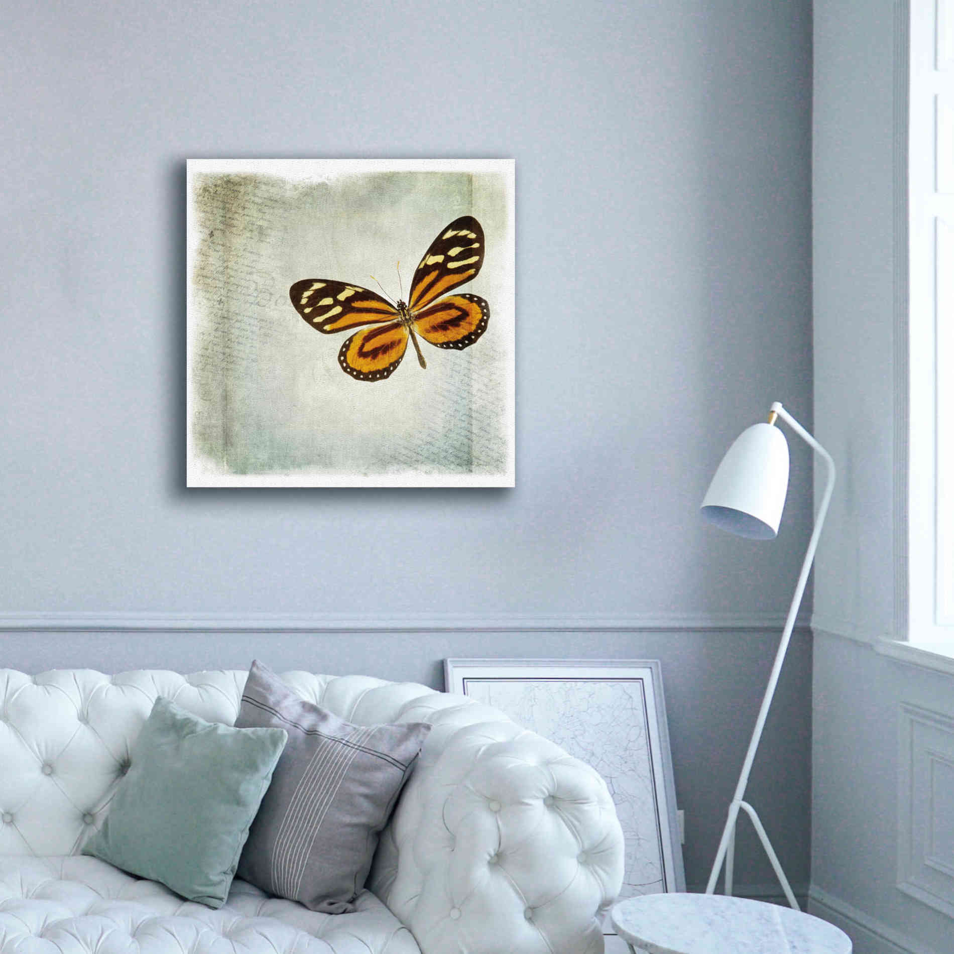 'Floating Butterfly VI' by Debra Van Swearingen, Canvas Wall Art,37 x 37