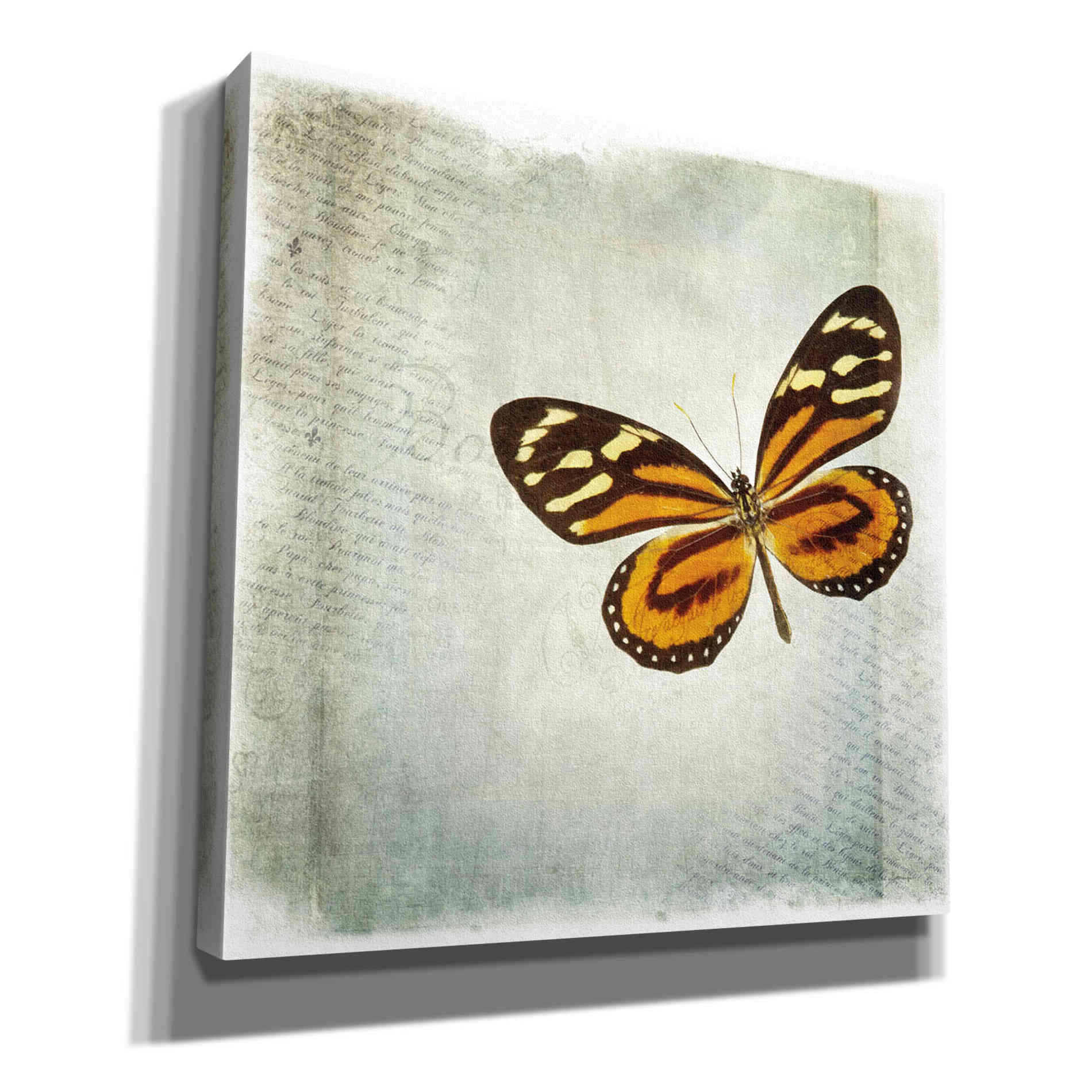 'Floating Butterfly VI' by Debra Van Swearingen, Canvas Wall Art,12x12x1.1x0,18x18x1.1x0,26x26x1.74x0,37x37x1.74x0