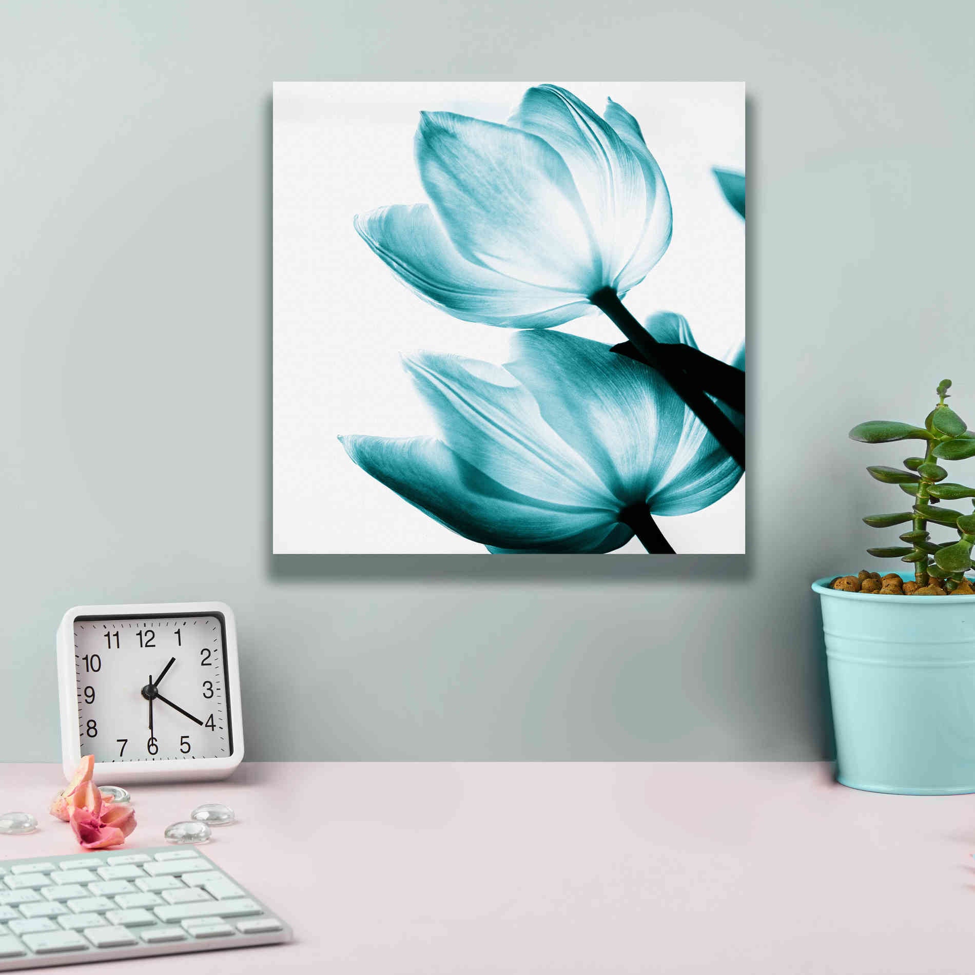 'Translucent Tulips II Teal' by Debra Van Swearingen, Canvas Wall Art,12 x 12