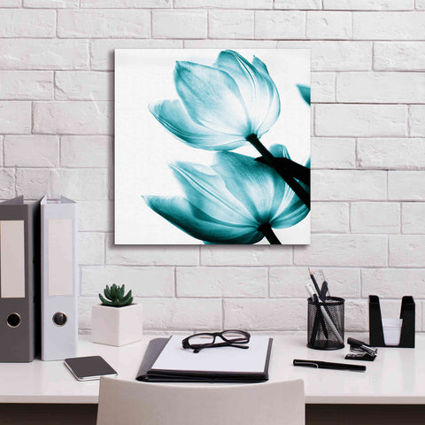 Image of 'Translucent Tulips II Teal' by Debra Van Swearingen, Canvas Wall Art,18 x 18