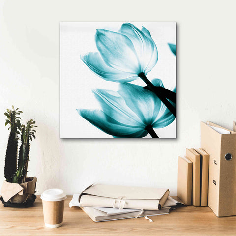 Image of 'Translucent Tulips II Teal' by Debra Van Swearingen, Canvas Wall Art,18 x 18