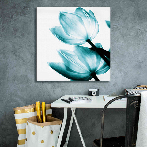 Image of 'Translucent Tulips II Teal' by Debra Van Swearingen, Canvas Wall Art,26 x 26