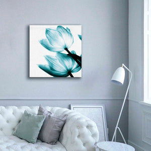 'Translucent Tulips II Teal' by Debra Van Swearingen, Canvas Wall Art,37 x 37