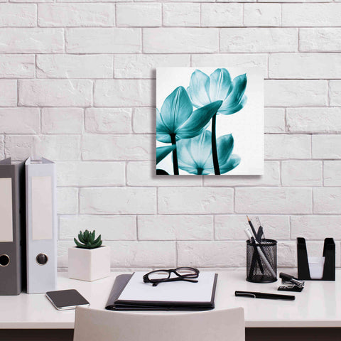 Image of 'Translucent Tulips III Teal' by Debra Van Swearingen, Canvas Wall Art,12 x 12