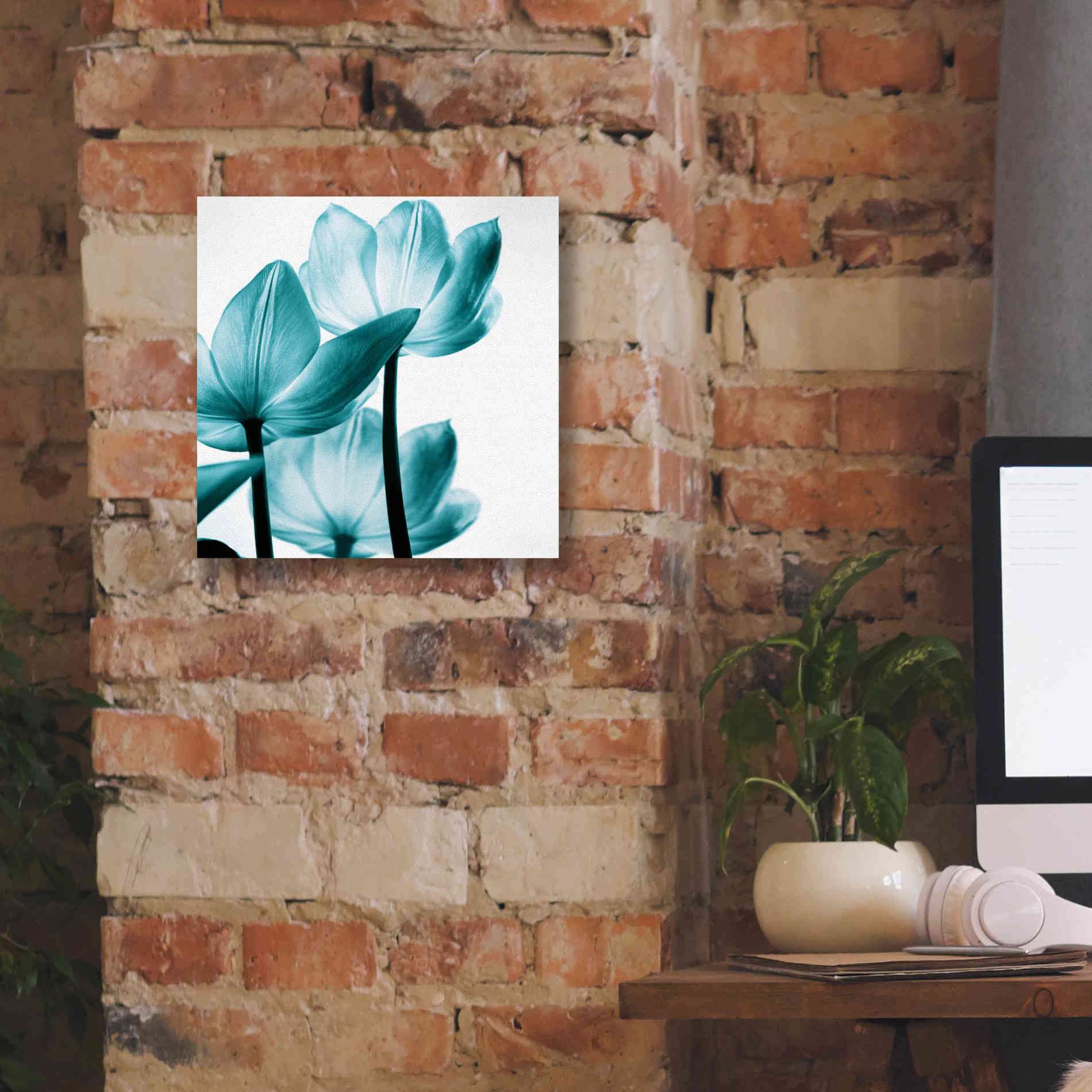 'Translucent Tulips III Teal' by Debra Van Swearingen, Canvas Wall Art,12 x 12