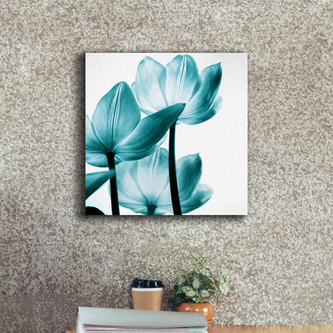 Image of 'Translucent Tulips III Teal' by Debra Van Swearingen, Canvas Wall Art,18 x 18