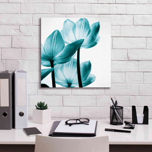 'Translucent Tulips III Teal' by Debra Van Swearingen, Canvas Wall Art,18 x 18