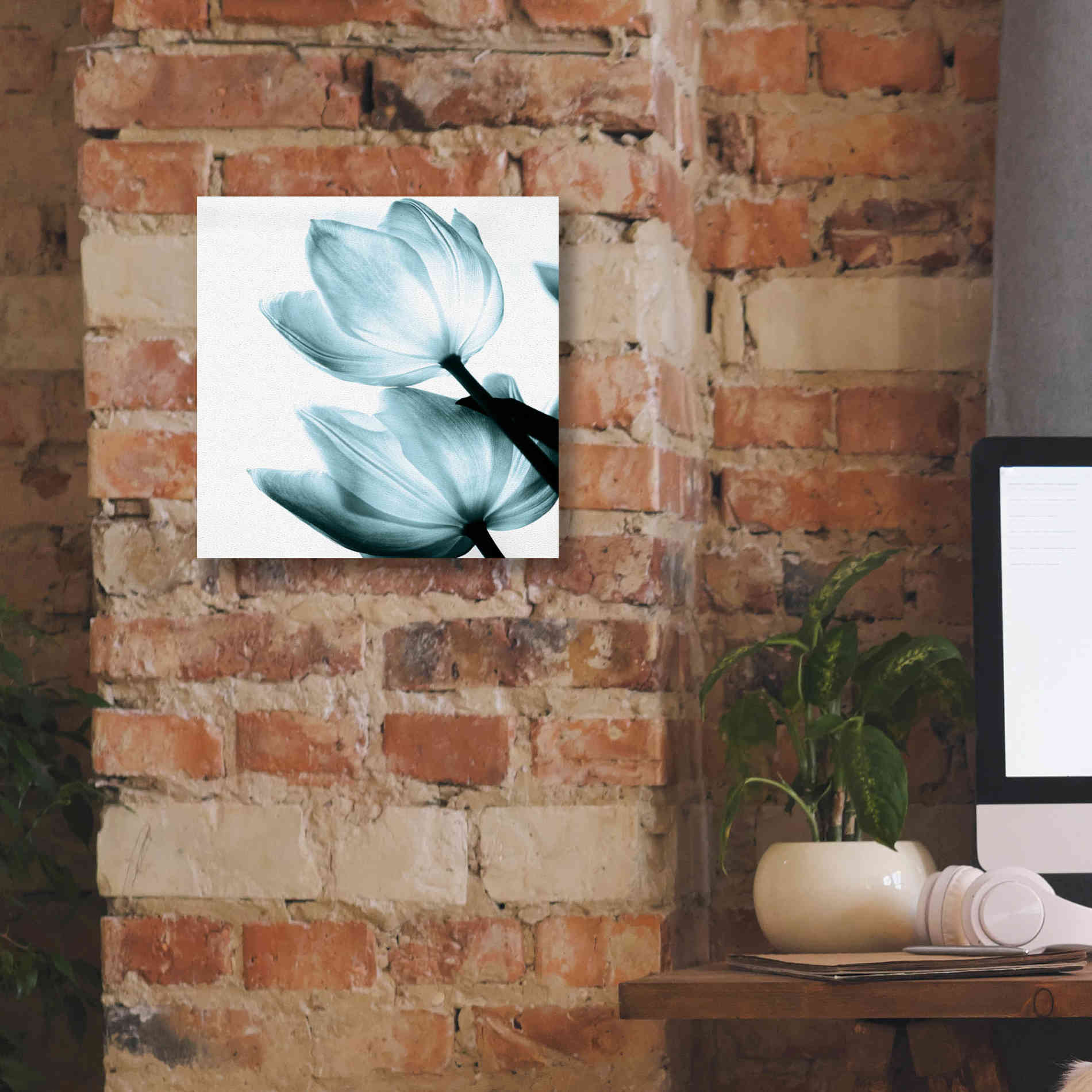'Translucent Tulips II Aqua' by Debra Van Swearingen, Canvas Wall Art,12 x 12