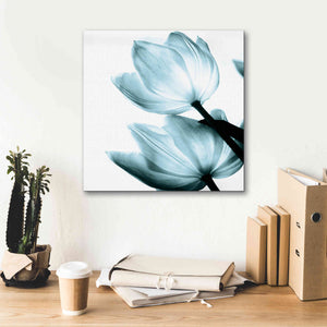 'Translucent Tulips II Aqua' by Debra Van Swearingen, Canvas Wall Art,18 x 18