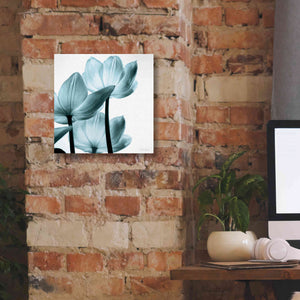'Translucent Tulips III Aqua' by Debra Van Swearingen, Canvas Wall Art,12 x 12