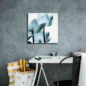 'Translucent Tulips III Aqua' by Debra Van Swearingen, Canvas Wall Art,18 x 18