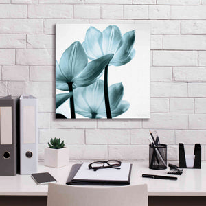 'Translucent Tulips III Aqua' by Debra Van Swearingen, Canvas Wall Art,18 x 18