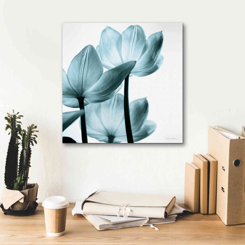 Image of 'Translucent Tulips III Aqua' by Debra Van Swearingen, Canvas Wall Art,18 x 18
