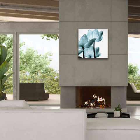 Image of 'Translucent Tulips III Aqua' by Debra Van Swearingen, Canvas Wall Art,26 x 26