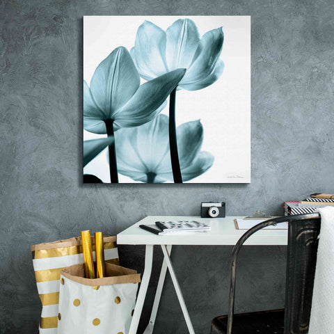Image of 'Translucent Tulips III Aqua' by Debra Van Swearingen, Canvas Wall Art,26 x 26