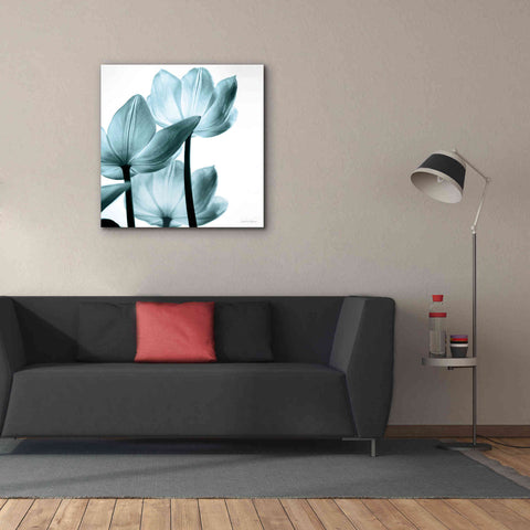 Image of 'Translucent Tulips III Aqua' by Debra Van Swearingen, Canvas Wall Art,37 x 37
