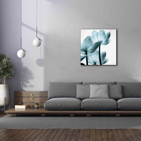 Image of 'Translucent Tulips III Aqua' by Debra Van Swearingen, Canvas Wall Art,37 x 37