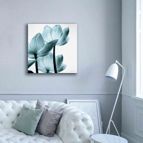 Image of 'Translucent Tulips III Aqua' by Debra Van Swearingen, Canvas Wall Art,37 x 37