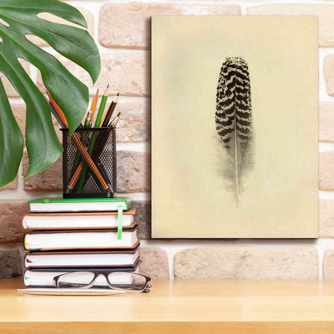 Image of 'Feather I Vintage' by Debra Van Swearingen, Canvas Wall Art,12 x 16